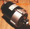 Spur gearing electric motor Unite MY1020Z3 750W 36V 17Nm 420rpm